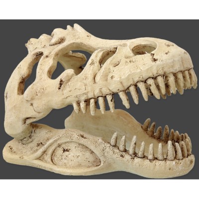 Cráneo T- Rex Repti Planet